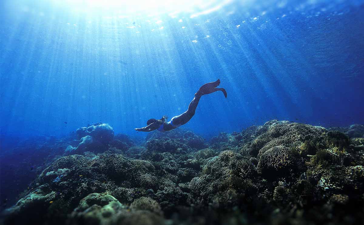 Wanita sedang menyelam di bawah laut